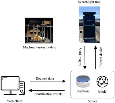 Intelligent Monitoring System of Migratory Pests Based on Searchlight Trap and Machine Vision